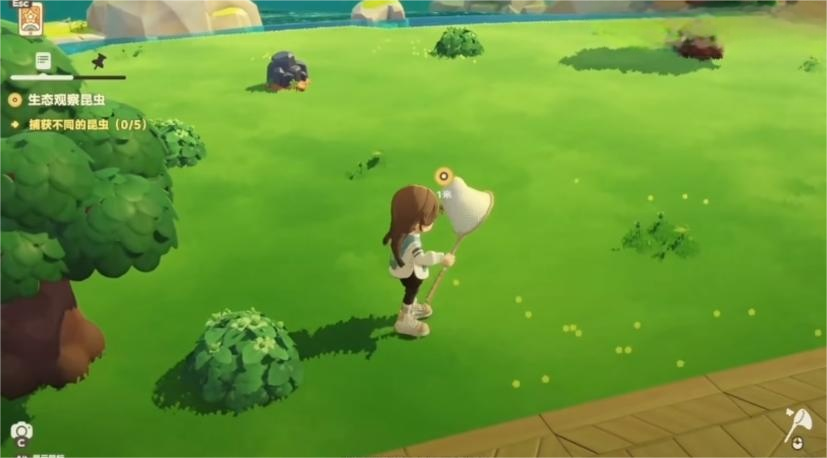 �ǲ��ȵ�ץ�����̳�