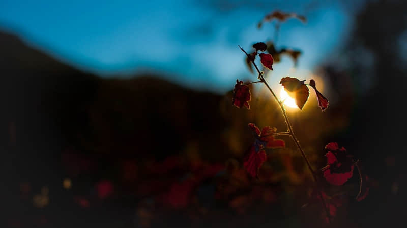 ����������Ԫ���ռ���ô����Ц���������Ȧ��