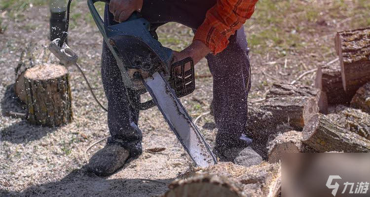 ľ���ո��� ����Ĳ��Ժͼ��������Լ���ľ�ĶѰ�