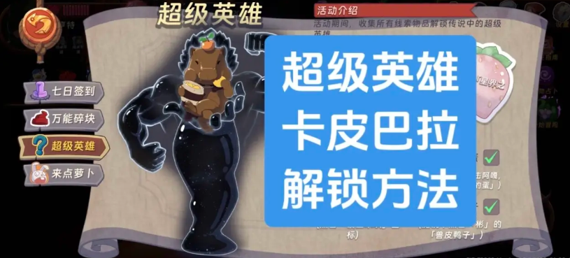 �����õ꿨Ƥ������������