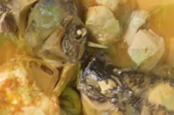 ��������ʳ����ʲô��