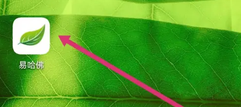 �׹���app��β鿴С�� �׹���APP�鿴�ҵ�С�鷽��