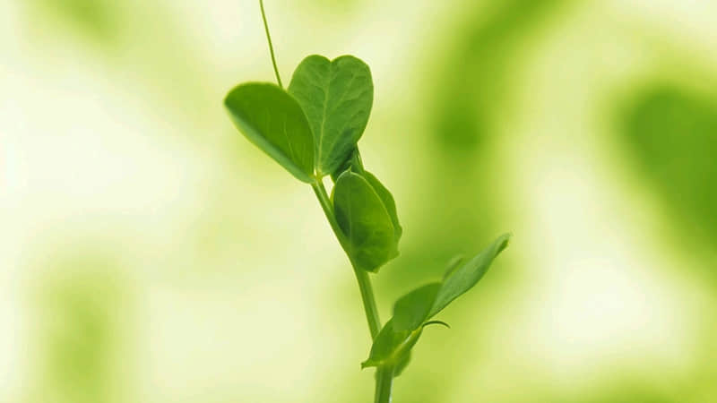 ����?��?Ȧ?����������������û�˲����ޣ���