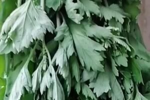 ����ڹҰ�����ʲô˵������