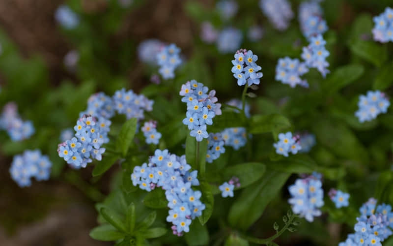 ����������������ĳ�˿�������ϵ�㡱