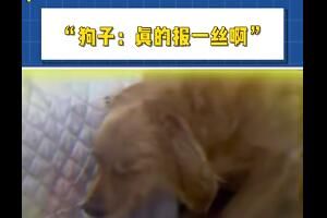 ��һ˿��ʲô��˼��������