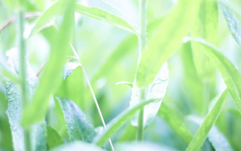 ������Ȧ????????��һ�䣬�����Լ���??��