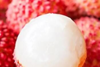 ��֦һ�ｵ��20Ԫ����ô����