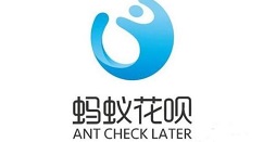 2020��˫ʮһ֧�������¶���ж���?ʹ�ù�������Щ