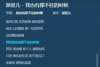 ��ʵ��Ҳ�гŲ�ס��ʱ����ʲô��