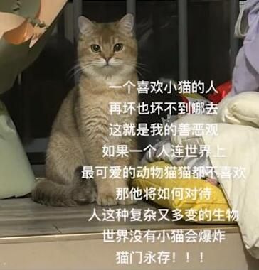 ������ҵ��ƶ����ʲô��