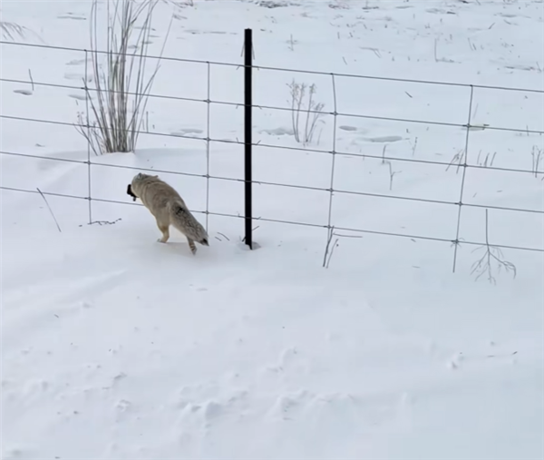 С��������˶���� ��һ�ӽǼ�¼�ڿ�����ȫ��