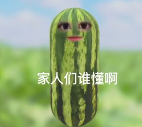 ������˭������������һ����ͷ����ʲô��˼