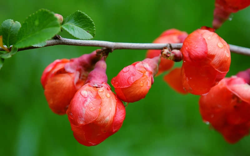 ������ת�˺����������Ļ���??