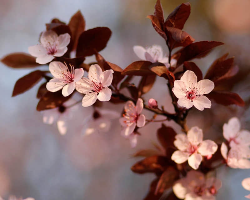 ���һ��Ǻ�ϲ���㣬���Ҳ��ܱ������ˡ�