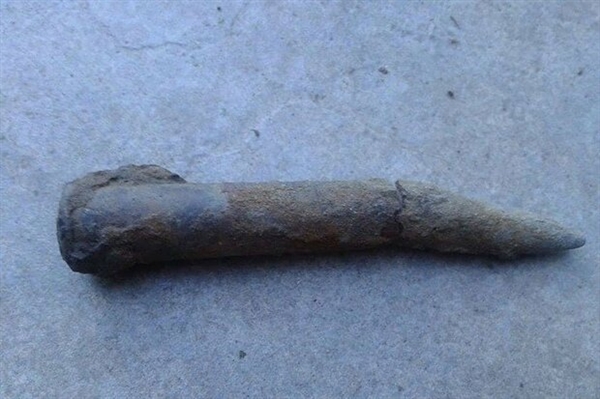 ����һ���ӽ�δ���ڵ�����ֱ�� ҽԺ���ٲ�ר�Ҵ���