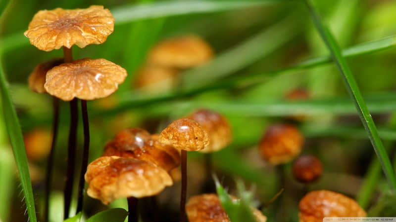 "????????���㷢�ܾõ�����Ȧ�İ���"