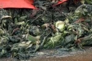 ֪����魲���ҵ����������Ŀ��������ô����