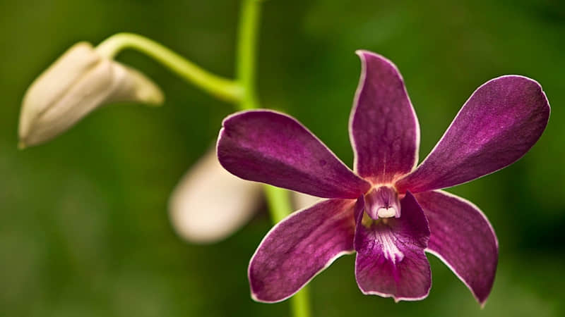 ��2026���Լ���ʮ���䡱