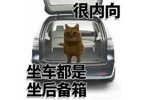 ��������ʲô������������������������ɶ��˼