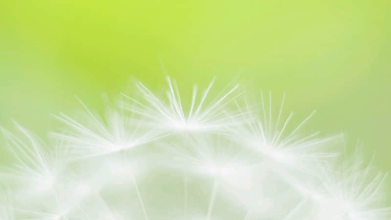 ��Ů�˿����õ��������׻���??��