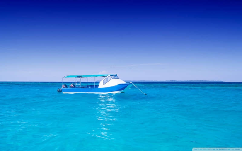 �����������㡰�ڸ������ô�أ�Цſ����