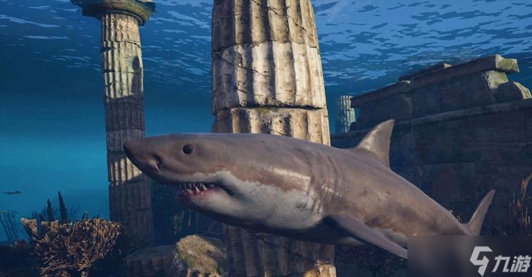 �̿������µ���Ư�����㹥�� ̽��Ư�����㵺