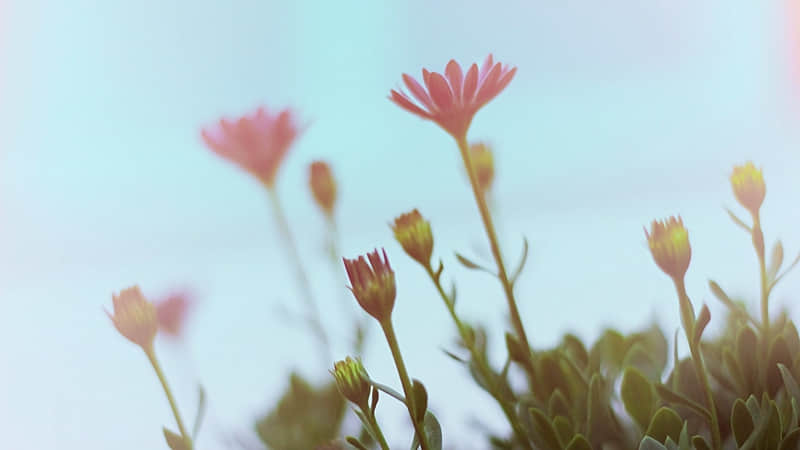 ���������ձ���������䣬�������ᣬ��侪�ޣ�����������