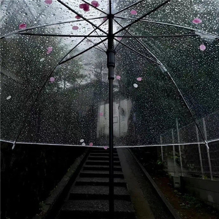 �������������˸д��������(��ѡ100��)