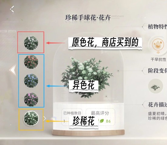 ��������ա�ȫ�¼�԰���˷�����������