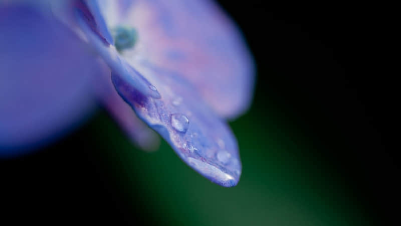 �����ϺͶ�����ô�ã���������ͷ��??