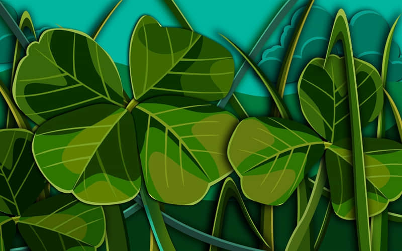 ���Ʊ�ʽ���죬��������㡱