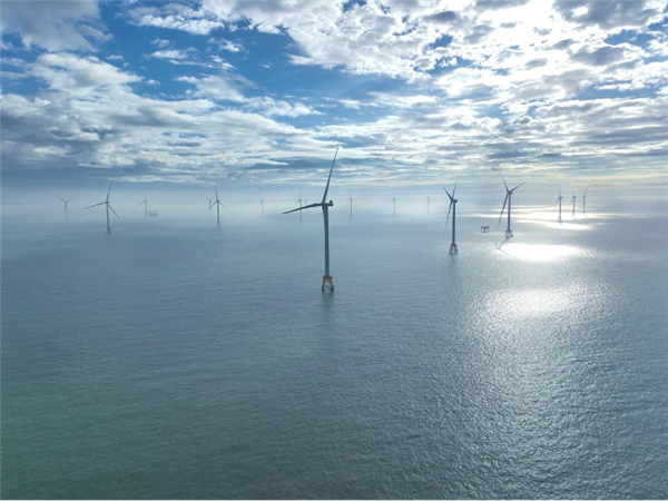 ȫ����̨20���ߺ��Ϸ��������ã�58��¥�� Ҷ��ֱ����300��