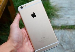 ƻ���ֻ��ĵ�����ϸ��������