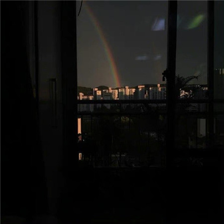 �����˸�������ͷ������(��ѡ100��)