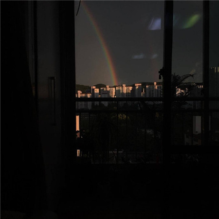 �����˸������������(��ѡ100��)