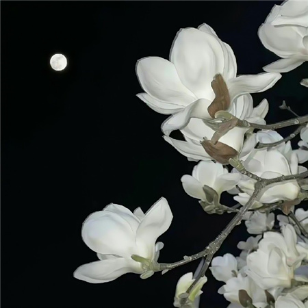 ��Ӱ���������˸�ͼƬ(��ѡ100��)