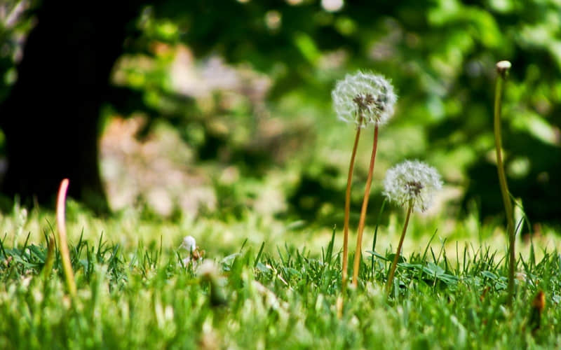 ������Ȧ������������������������ˡ�