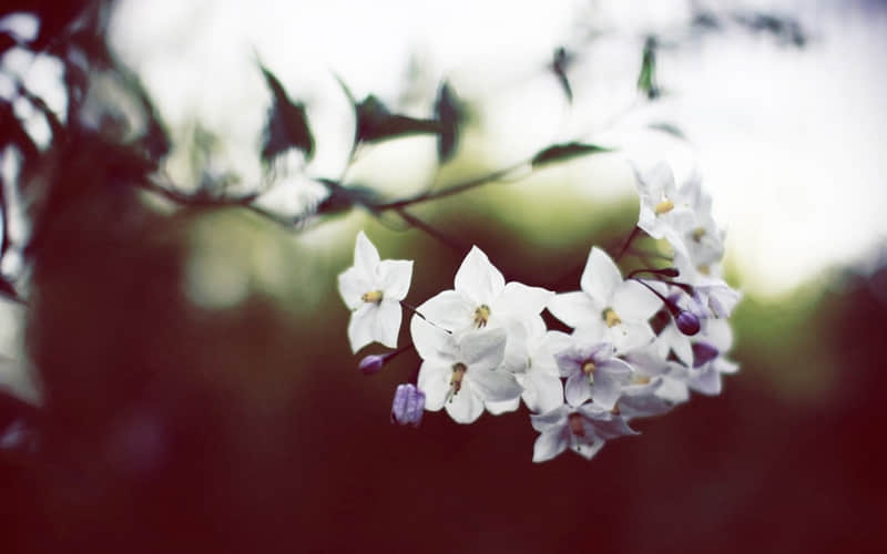 ����ûǮ�ˣ���Ĭһ����ô˵??��