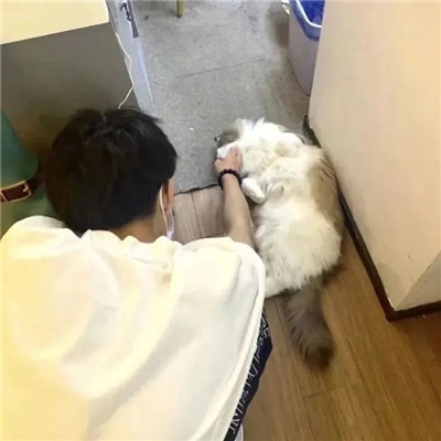 ins������������(��ѡ100��)