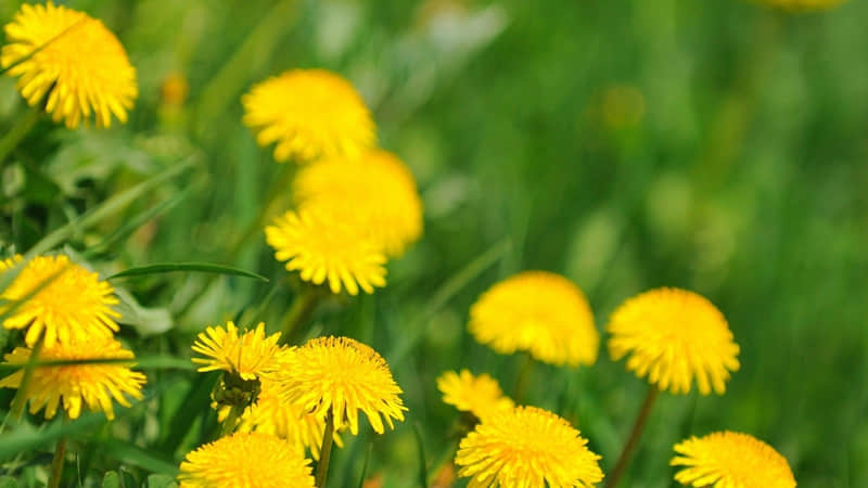 ������һ����ʱ��������ĳ�˺���ʧȥ�㡱