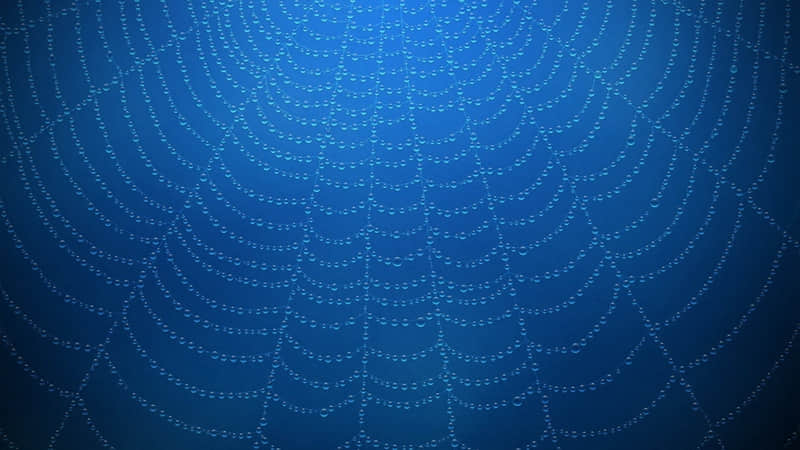 ����������Ȧ�������о�~��??