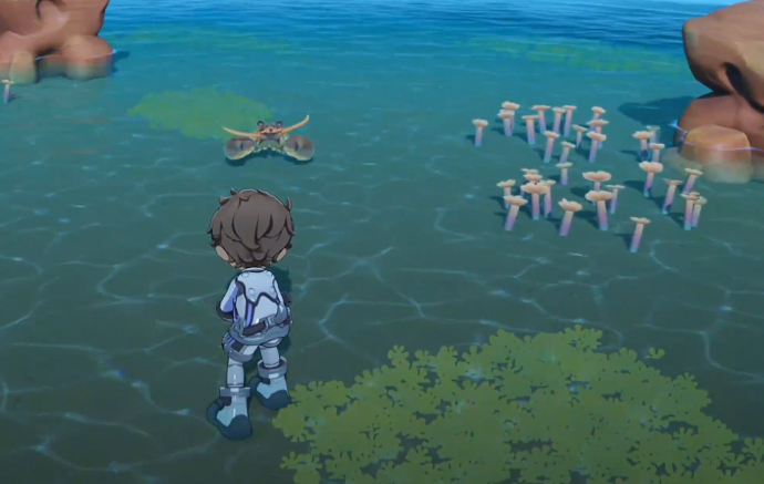 �ǲ��ȵ�ץ��Ϻ�̳�