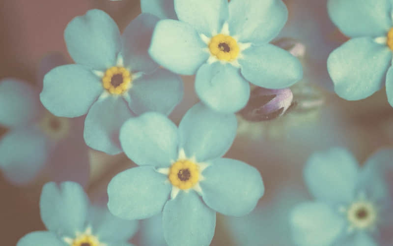 ���úܾõĸ���ǩ��������һ�޶�������һ���ʺ���