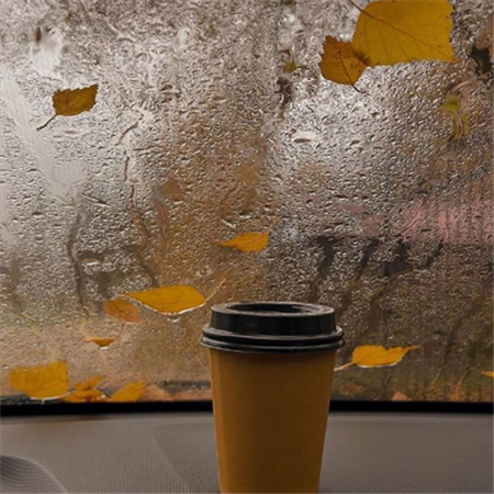 ���������˸�һ��������(��ѡ100��)