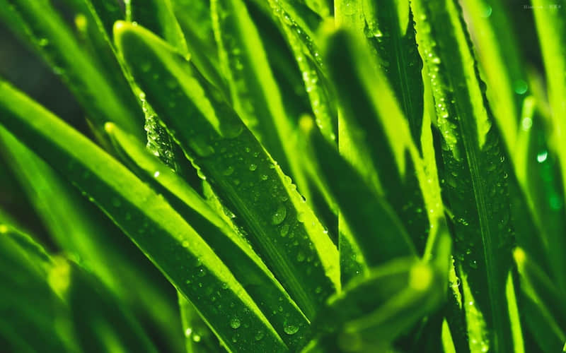 "�ϰ���Ҫ��ô�������Ѷ�Ц��~"??