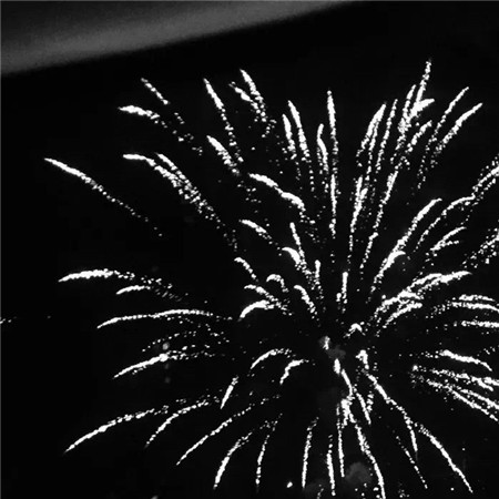 �����˸�����������������(��ѡ100��)