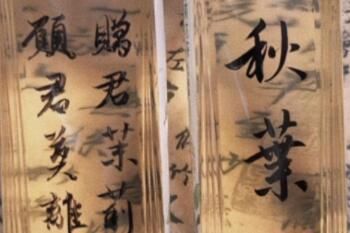 ������Ҷ�°�װ��ʲô��