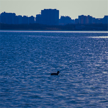 ���̥ͼƬ�˸���������(��ѡ100��)