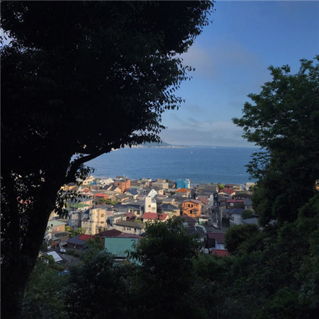 �����˸������ŷ�(��ѡ100��)